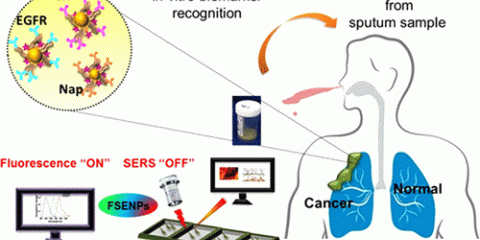 體外診斷醫療器材(IVD)